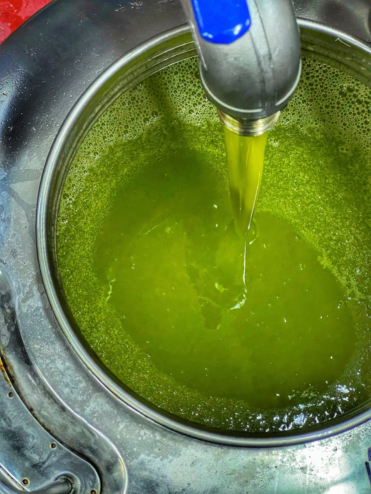 Olio nuovo durante la lavorazione in frantoio